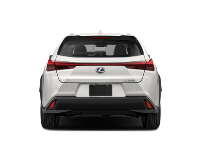 2019 Lexus UX UX 250h