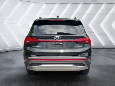 2023 Hyundai Santa Fe Hybrid Blue