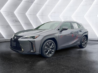 2019 Lexus UX UX 250h
