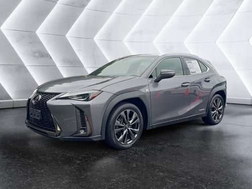 2019 Lexus UX UX 250h
