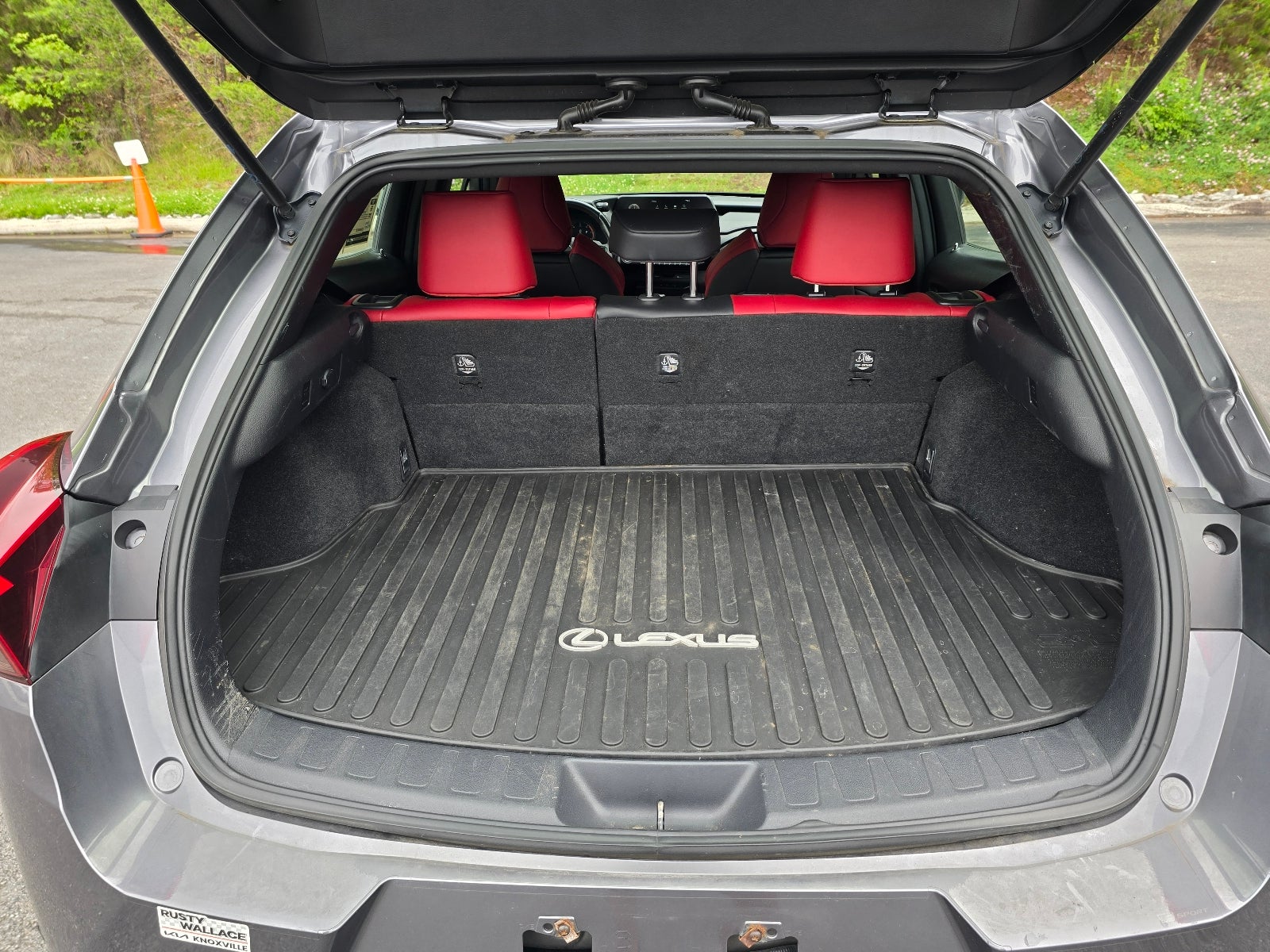 2019 Lexus UX UX 250h