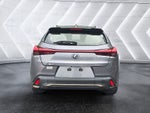2019 Lexus UX UX 250h