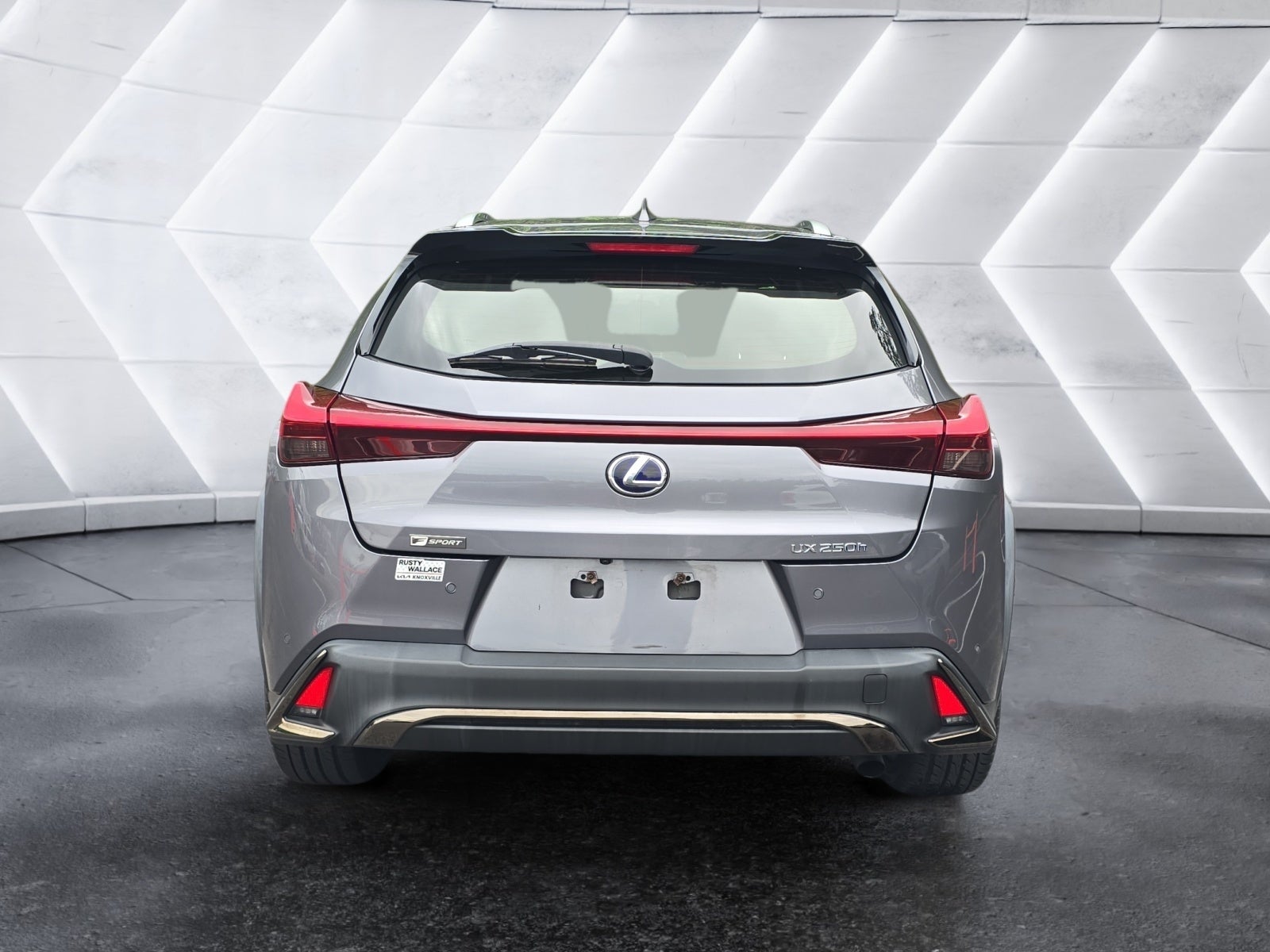 2019 Lexus UX UX 250h