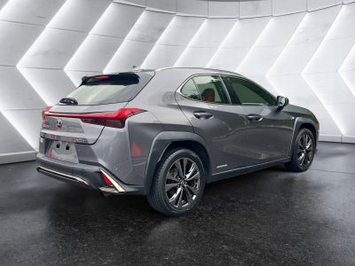 2019 Lexus UX UX 250h
