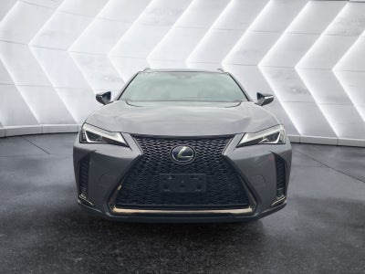 2019 Lexus UX UX 250h