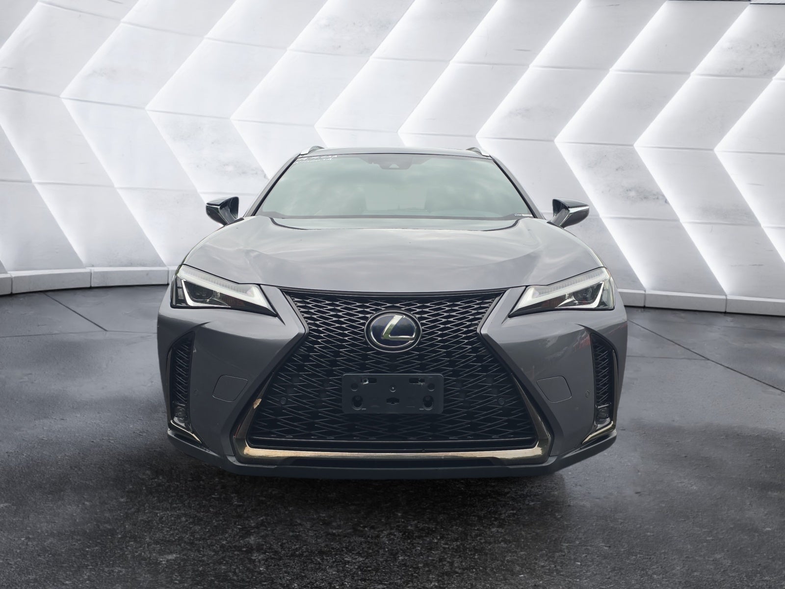 2019 Lexus UX UX 250h