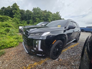 2024 Hyundai Palisade Calligraphy Night Edition